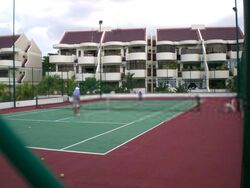 The Windsor (D20), Condominium #554389271
